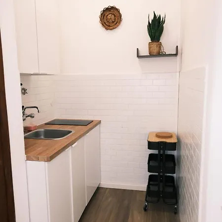 Lovely Studio With And Montains Views & Free Parking 公寓 勒威诺